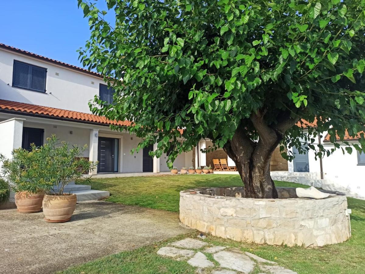Villa Ivana Медулин Экстерьер фото
